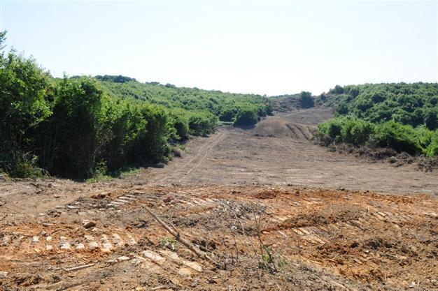 New clause allows buildings along third Istanbul bridge motorway