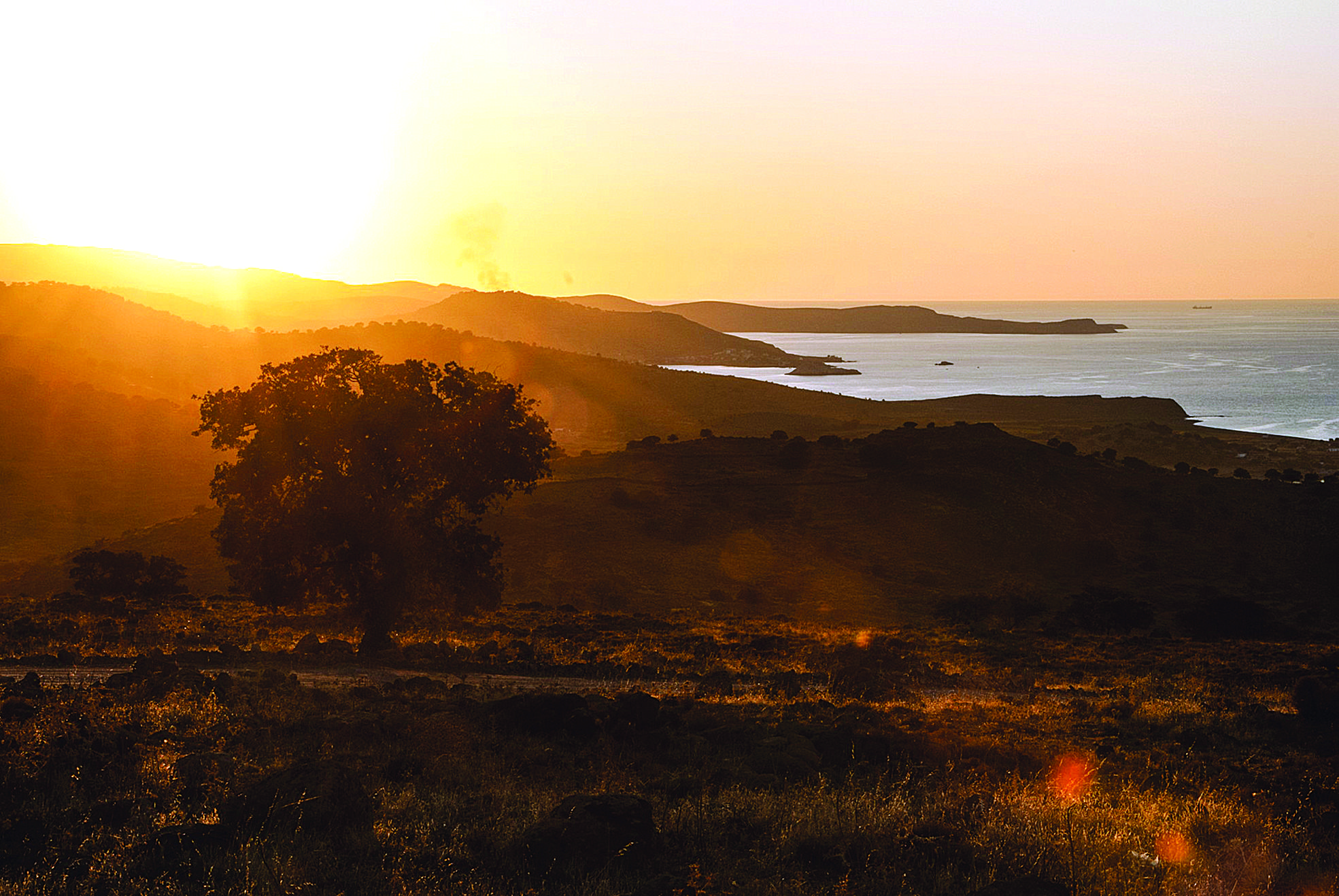 Lesvos: the island of hidden harmony