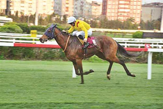 Golden Tower wins Eurasia summit horse race