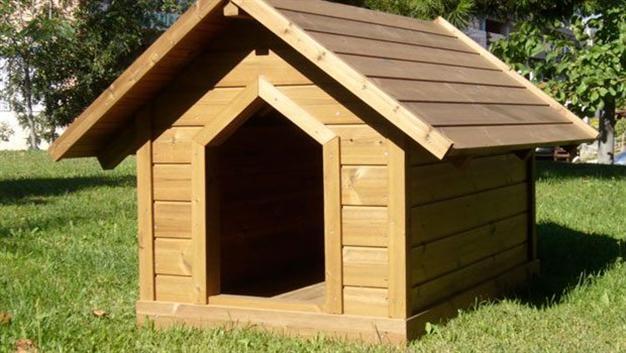 Officer charged with building shelter for dog with military material acquitted of charges