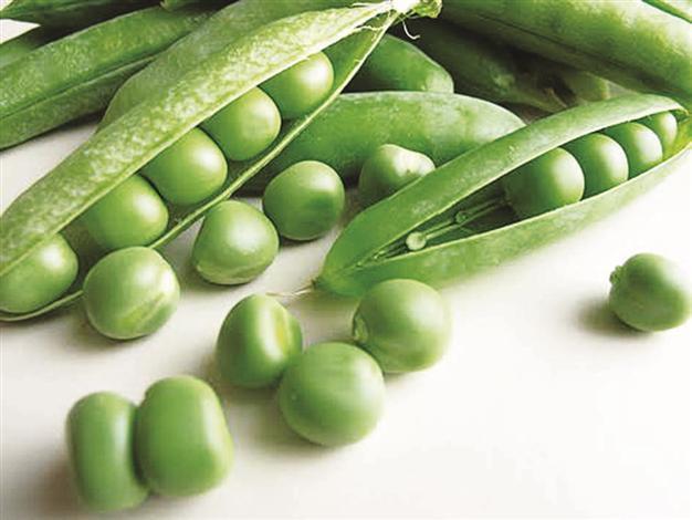 Pearly Peas & Frog Princes