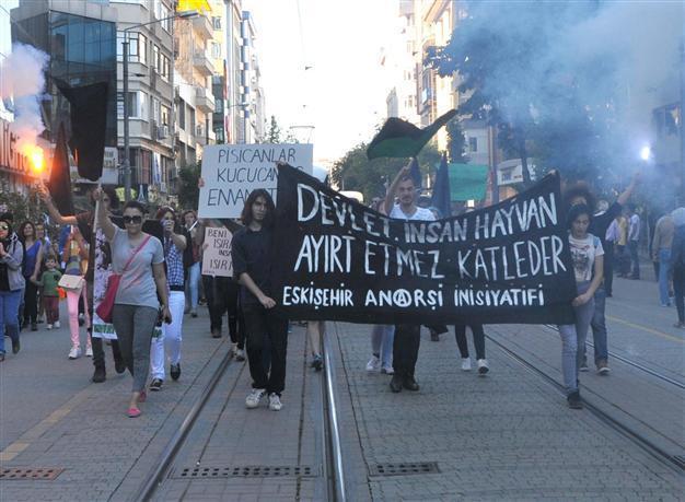 Tram driver hits animal rights activists in Turkey