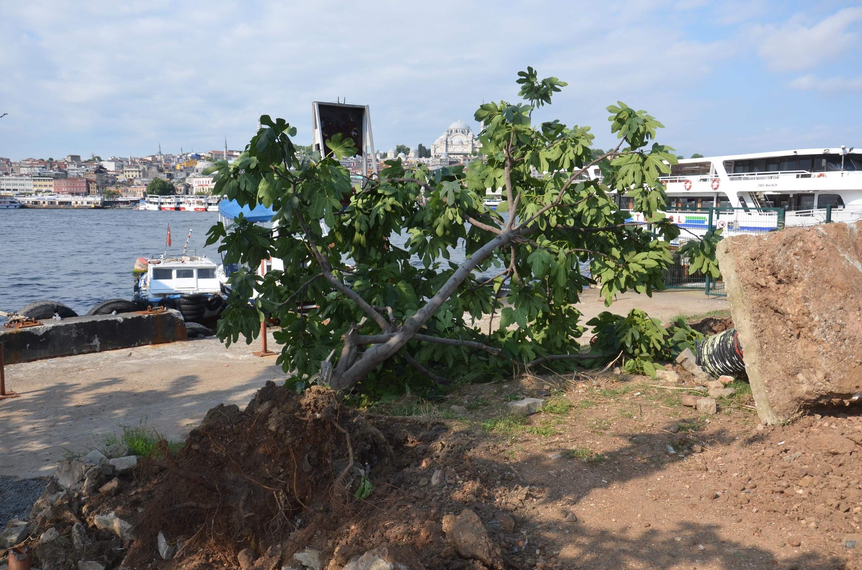 Illegal shorefront constructions demolished in central Istanbul