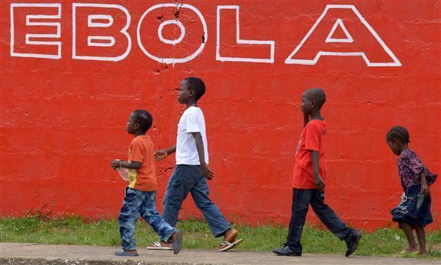 Liberia investigating animal link after Ebola re-emerges