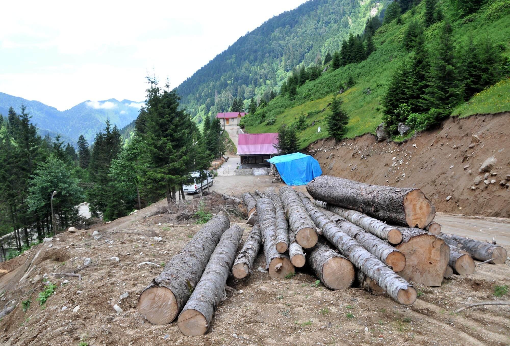 Government plan reveals controversial Green Road project conducted for Arab tourists