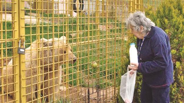 Bear to stay with ‘mom’