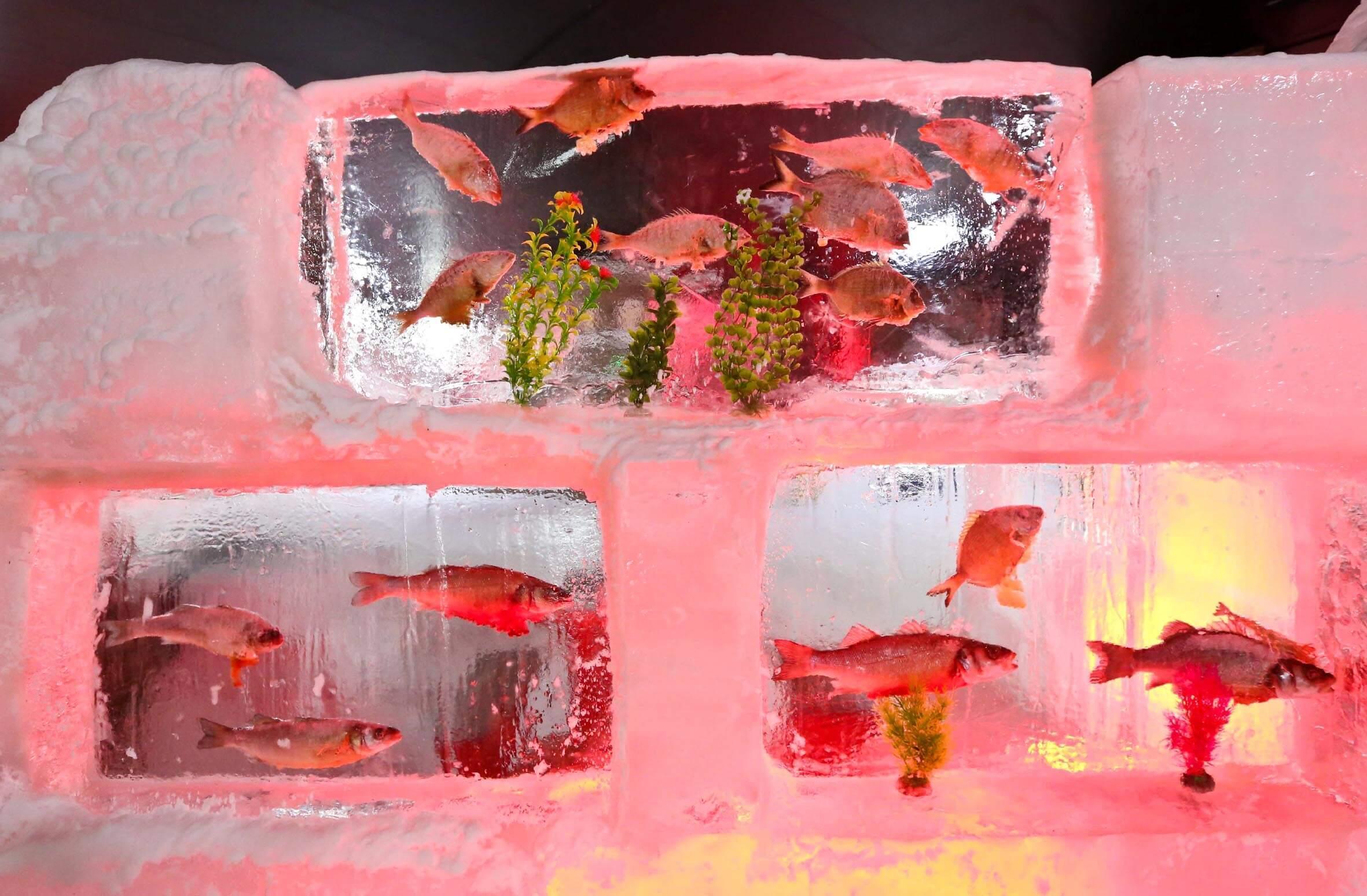 First ice sculpture museum in Antalya