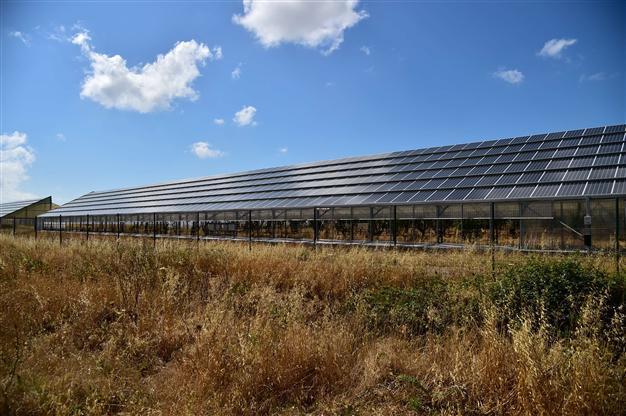 Mafia and multinationals milk Italy’s green energy boom