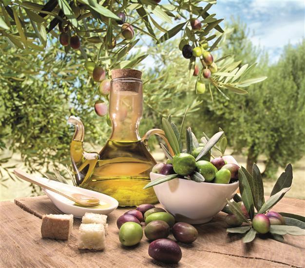 Turkey unable to benefit from rise in olive oil production due to overpricing