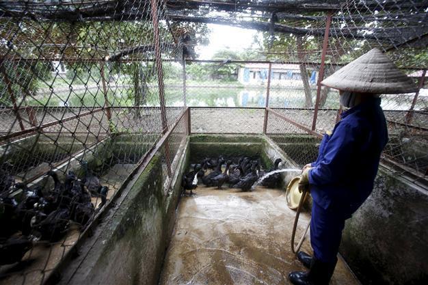 EU announces free trade deal with Vietnam ‘in principle’