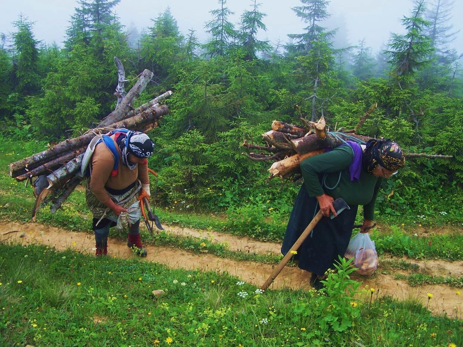 GUIDE: Calendar for festivals to be held in the Black Sea region throughout the rest of summer 2015