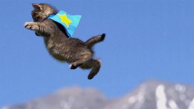 Social media trolls of Turkeys ruling AKP now seen as ‘reason for election failure’