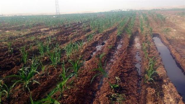 KRG says oil pipeline sabotage leads to stoppage, costs $250 mln