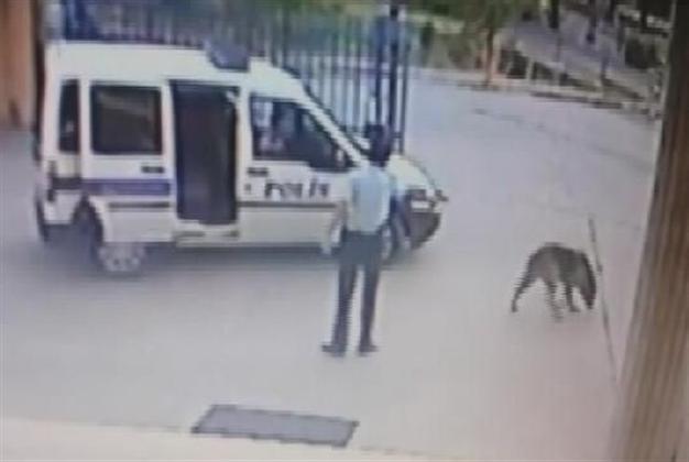 Old woman dies after being hit by laid off police officer in İzmir