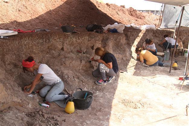 Delicate ancient fossils in Turkey’s Çankırı excavated with needles