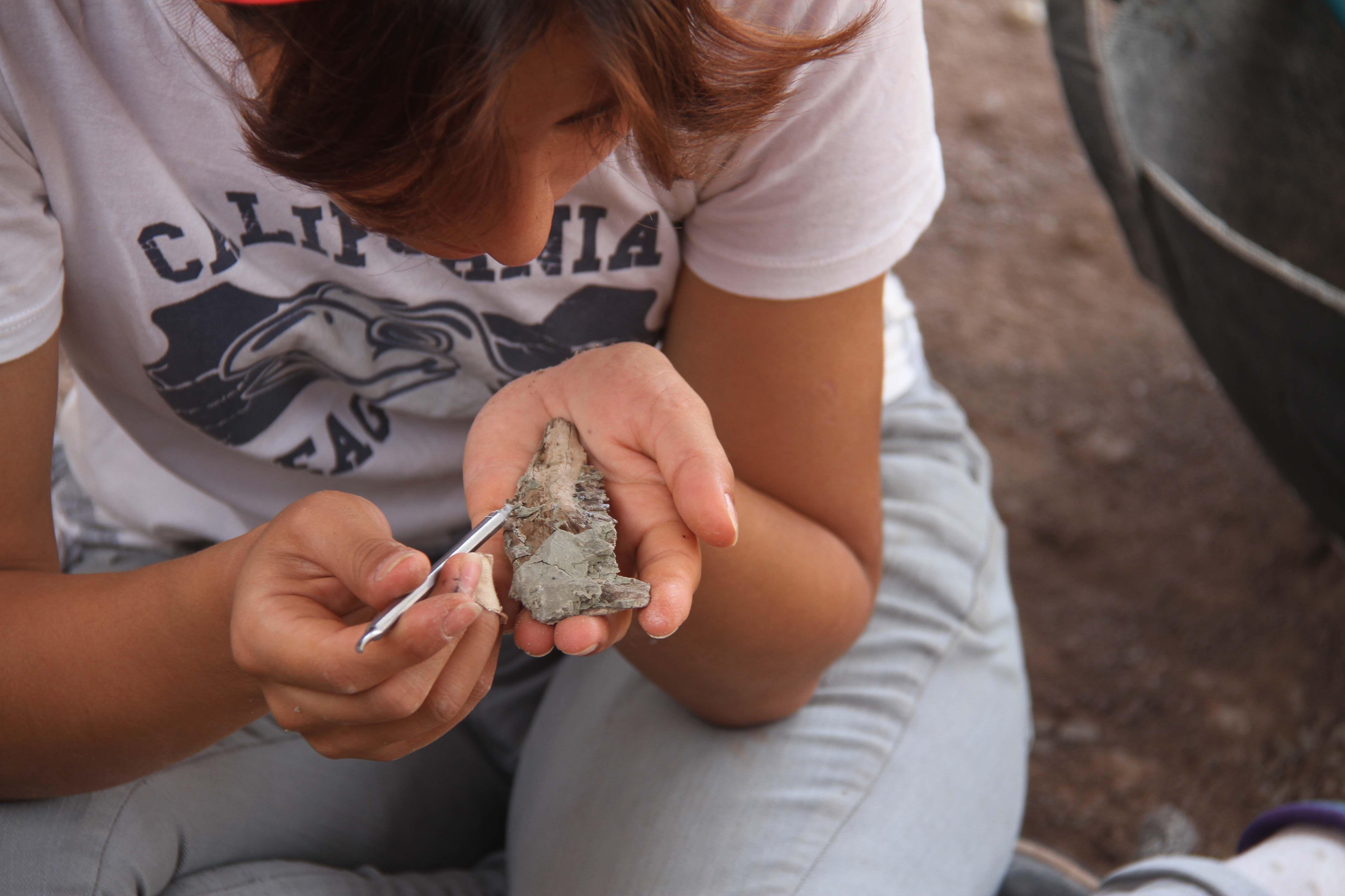 Delicate ancient fossils in Turkey’s Çankırı excavated with needles