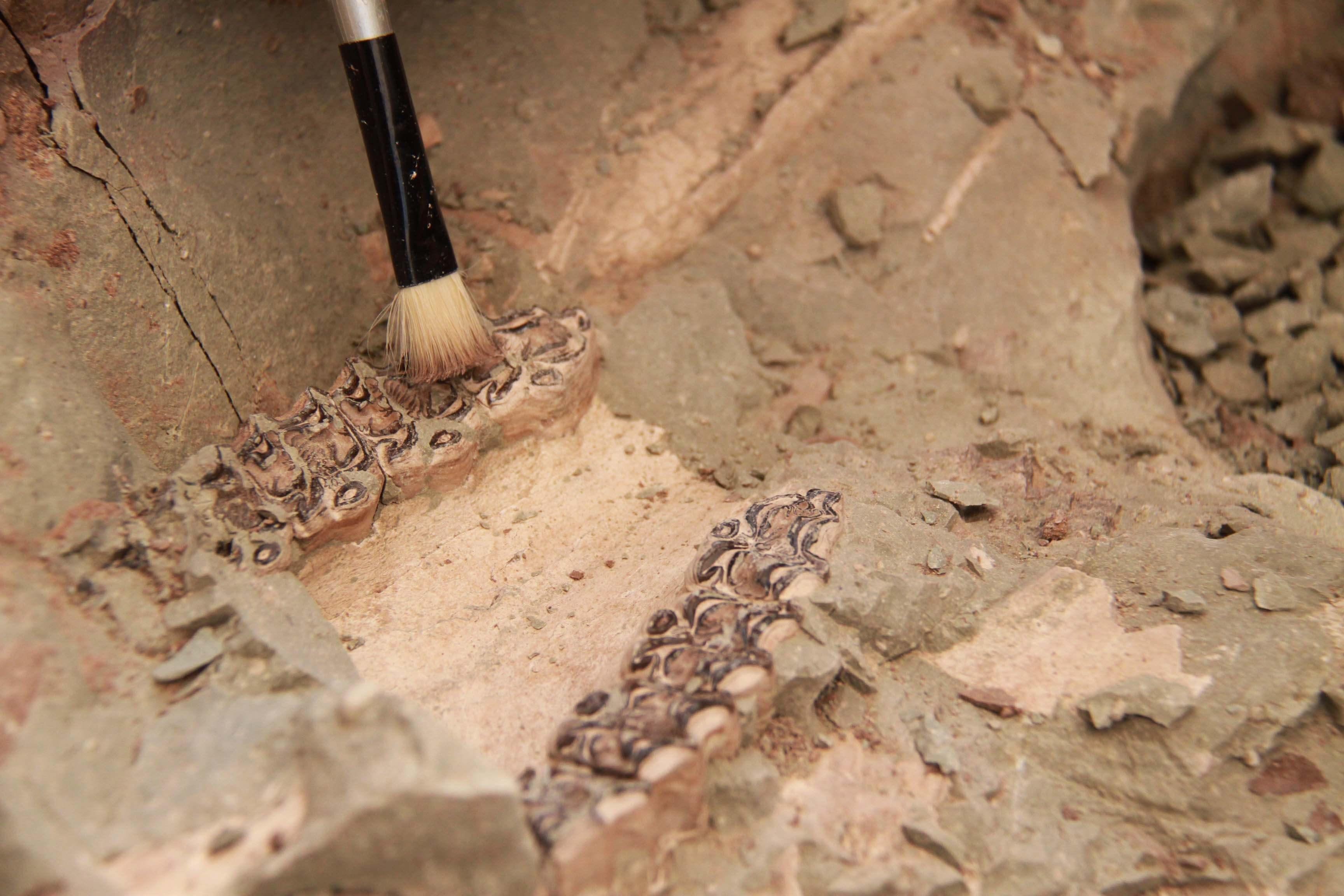 Delicate ancient fossils in Turkey’s Çankırı excavated with needles