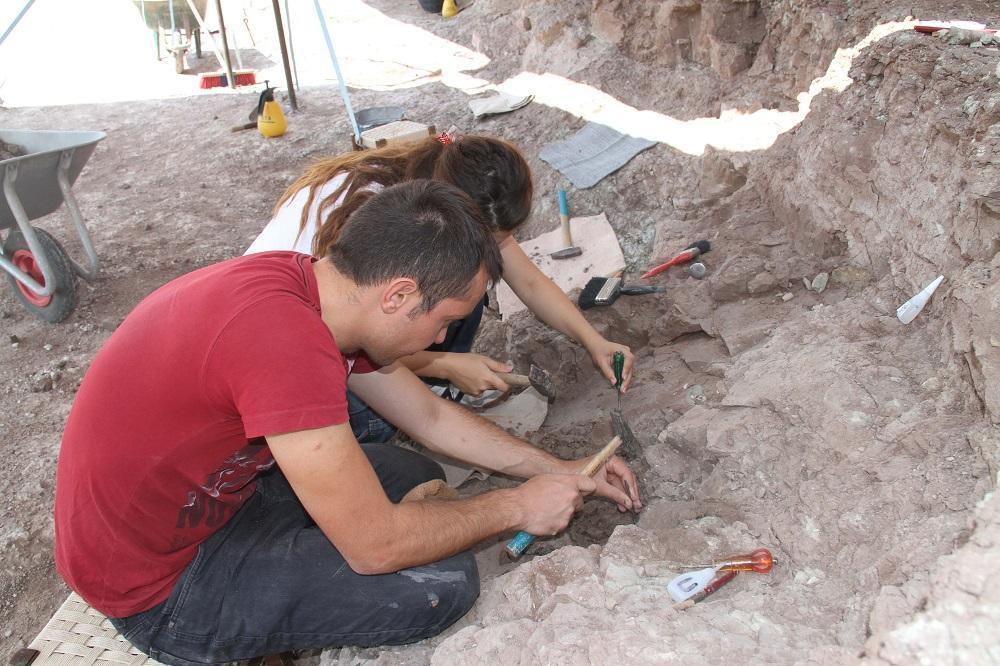 Delicate ancient fossils in Turkey’s Çankırı excavated with needles