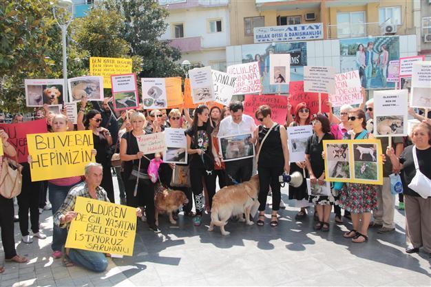Activists protest alleged animal poisoning in western Turkey