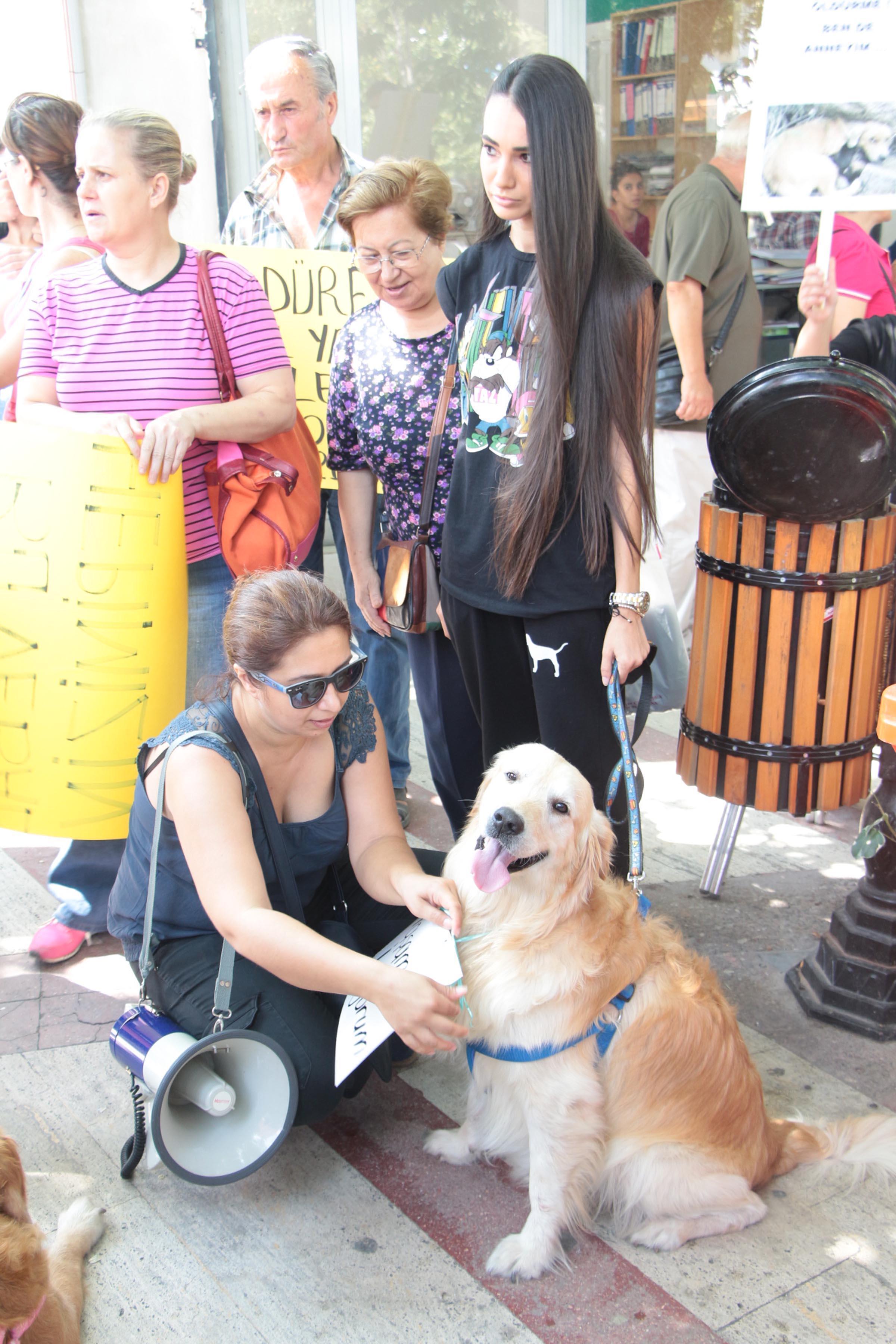 Activists protest alleged animal poisoning in western Turkey