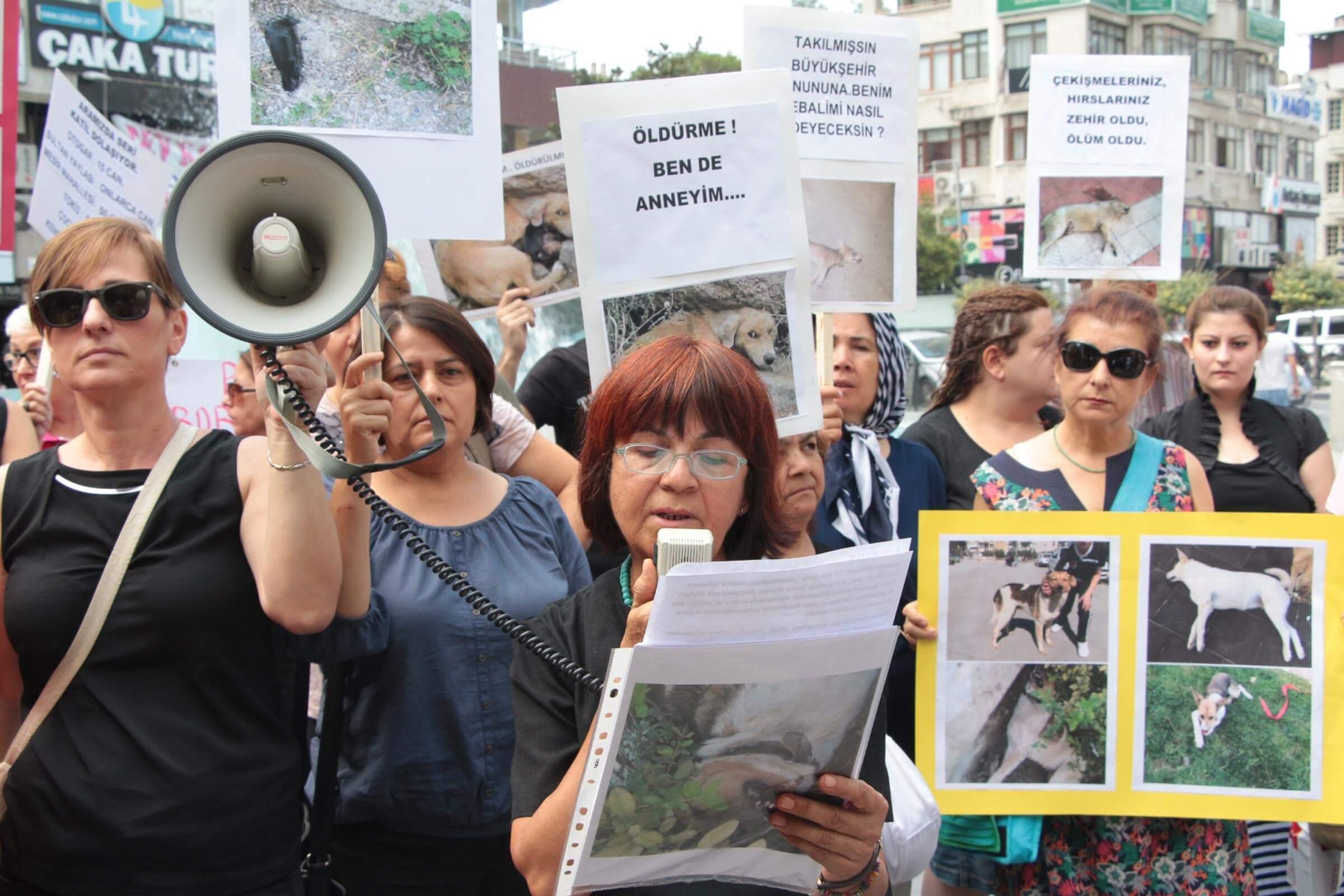 Activists protest alleged animal poisoning in western Turkey