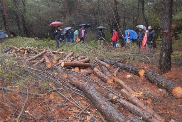 Wind power plant project halted in Aegean village after protests