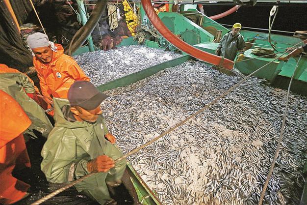 Turkey’s fishermen cast lines as seasonal fishing ban lifted
