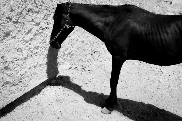 Alp Sime at Empire Project with long-awaited show