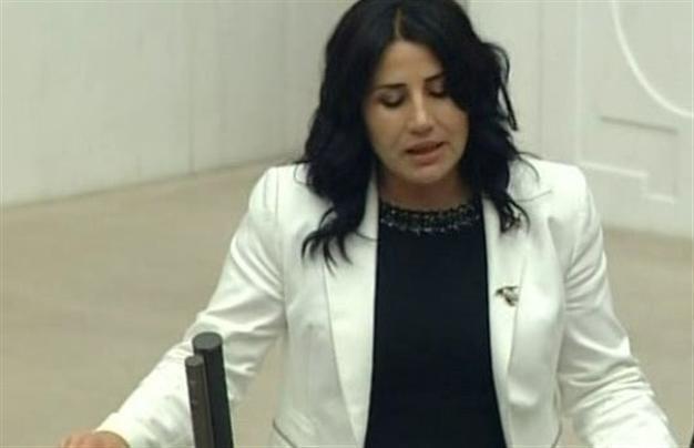 HDP deputy claimed to be in car carrying food to PKK