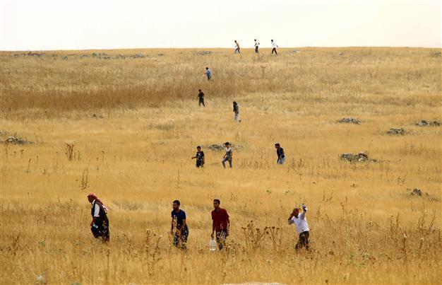 Council of Europe urges immediate access to Cizre by independent observers