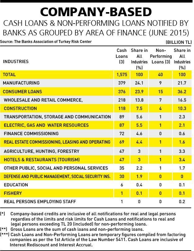Loans of households exceed sectors in Turkey