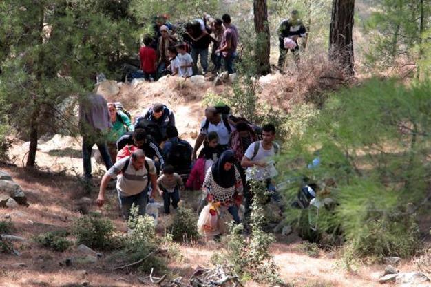 VIDEO: 130 Syrian migrants seeking seasonal work found in Aegean woods