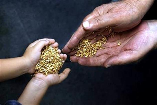 Seed bartering festival in İzmir aims to revive local planting richness