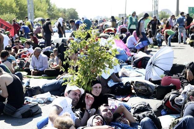 Neighboring states not taking refugees: Turkish minister