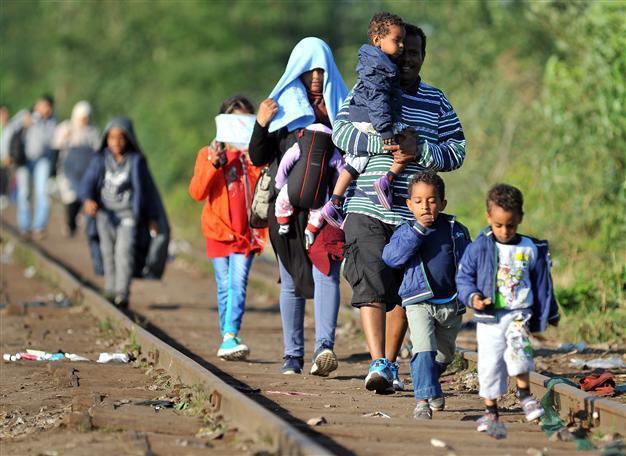Refugees seek new routes as Hungary seals border