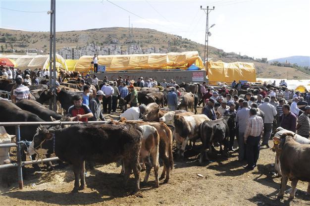 World Muslims set to celebrate Feast of Sacrifice