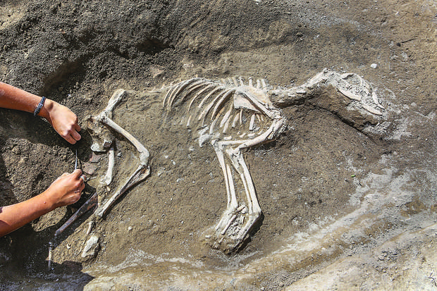 New research overturns theories about Lake Van