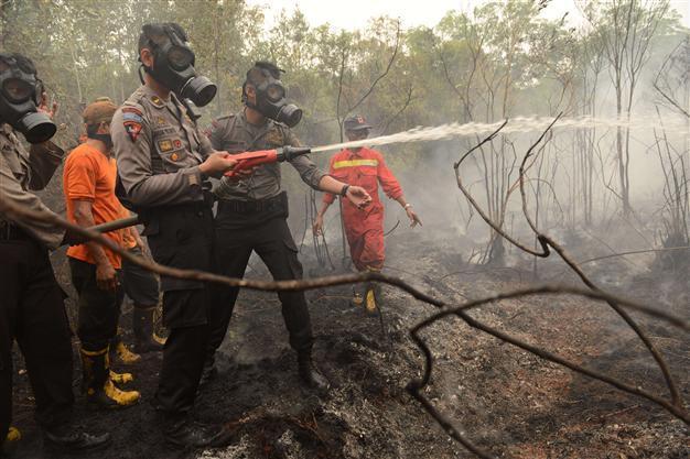 Indonesia accepts international help to combat fires