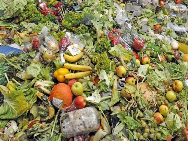 Frugality for the future of food