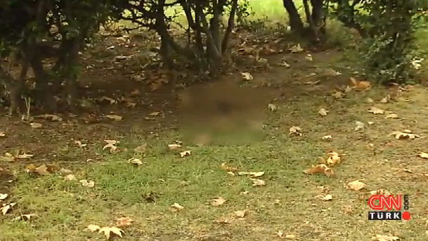 Crime scene investigation under scrutiny as passers-by find body remains at Ankara blast site