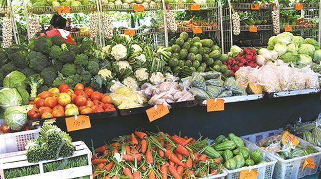 World food commodity prices plunge to lowest level in seven years