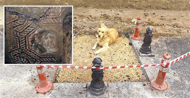 Asphalt over Roman mosaic removed