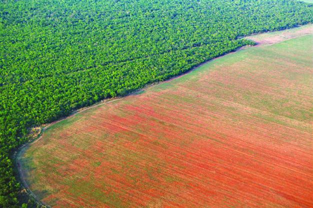 Destruction of Brazil’s Amazon forest jumps 16 pct in 2015 ahead of UN climate conference