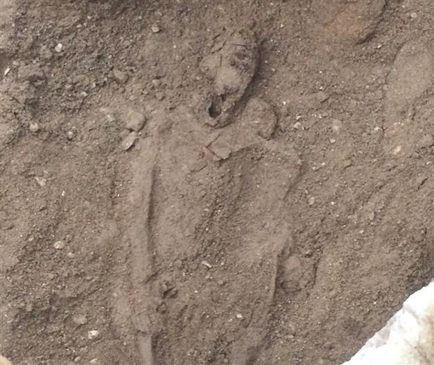 İzmir sewage construction project poses risk to the ancient Phocaea
