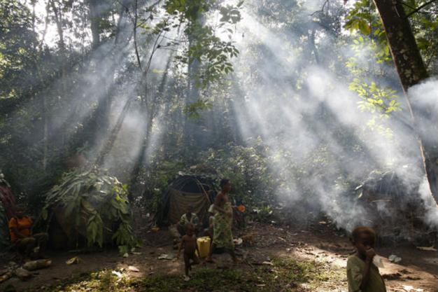 At climate talks, African nations pledge to restore forests