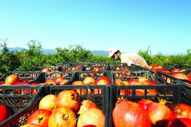 Russian risk pressing Turkey’s economy