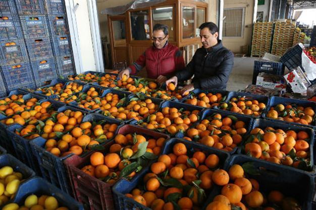Russian sanctions on Turkey to have limited effect: EBRD