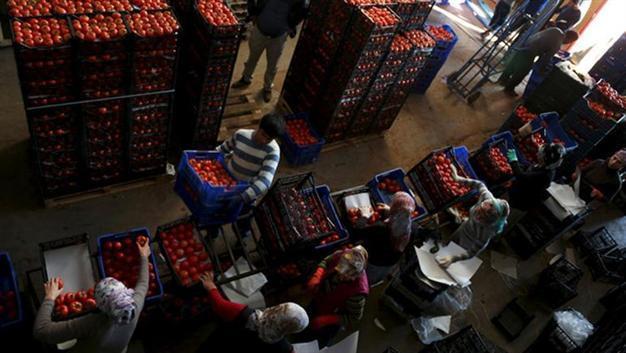 Russia’s sanctions on Turkey ‘against world trade agreement’