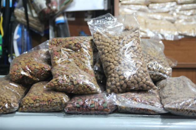 ‘Bring pet food,’ says Turkish animal benefit gig