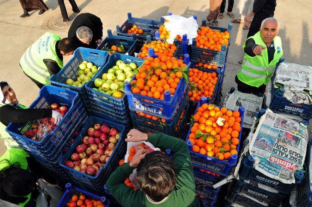 9 mln tons of fresh fruits and vegs wasted due to poor harvest, storage conditions: Association
